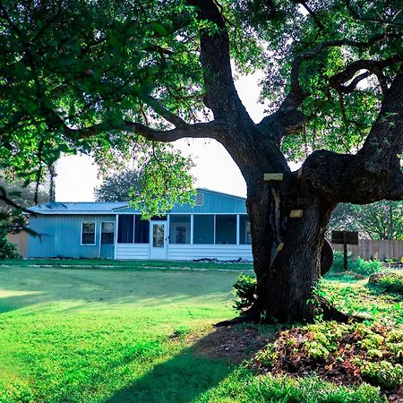 Hadley'S House - A Country 3 Bdrm With Screened-In Porch New Braunfels Exteriör bild